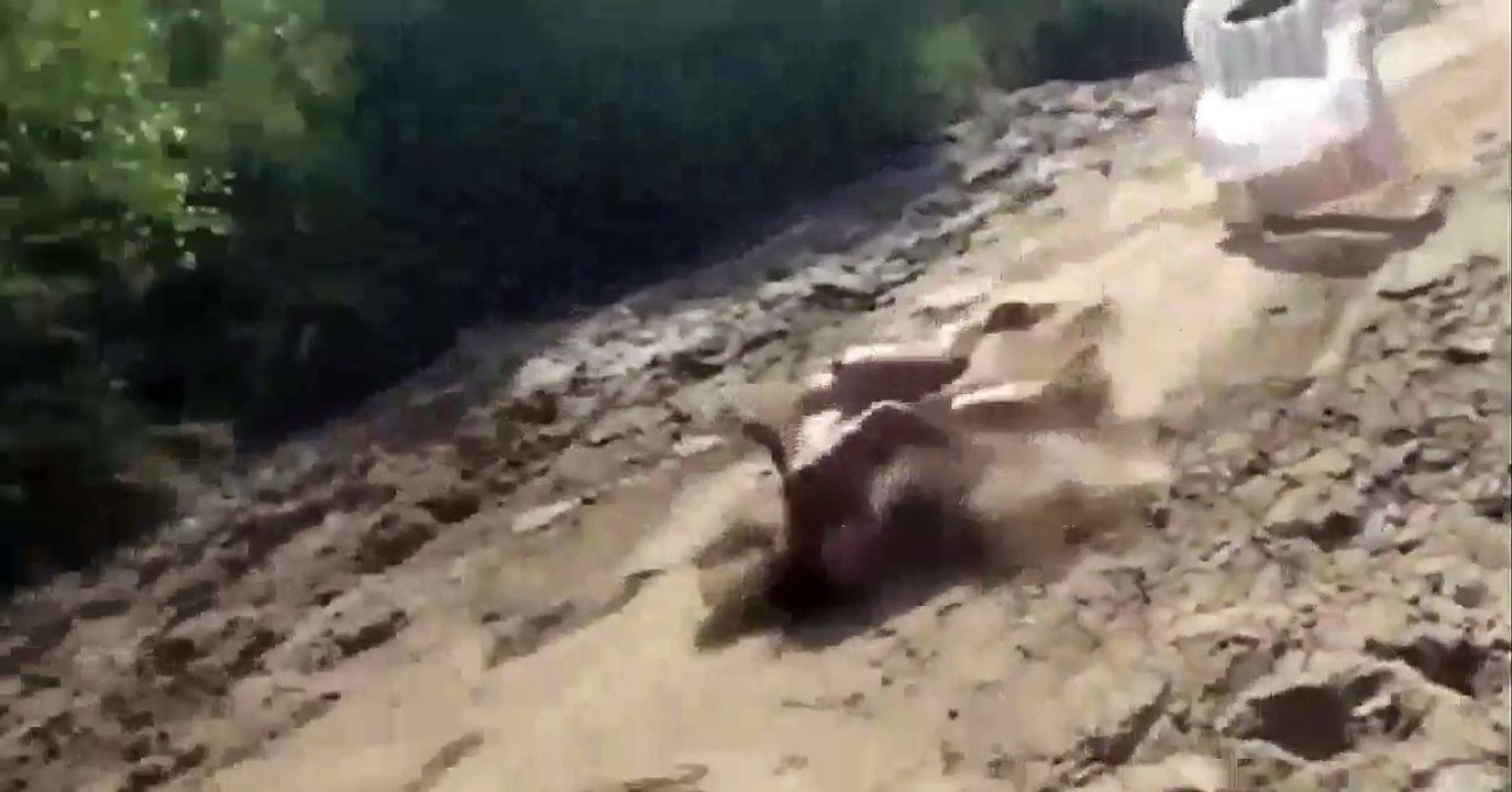 Funny Videos  | Funny Fails Compilation 2