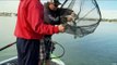 Fishing for Lunker Largemouth with Crankbait on Lake Havasu