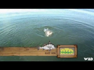 Fishing for Bass and Drum in Texas