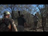 Hunting Cape Buffalo in South Africa