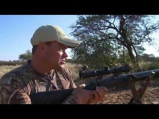 Hunting Lion in South Africa