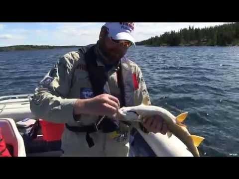 Fishing for Lake Trout at Namushka Lodge