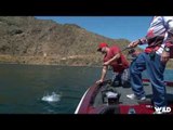 Largemouth Bass Fishing on Lake Isabella