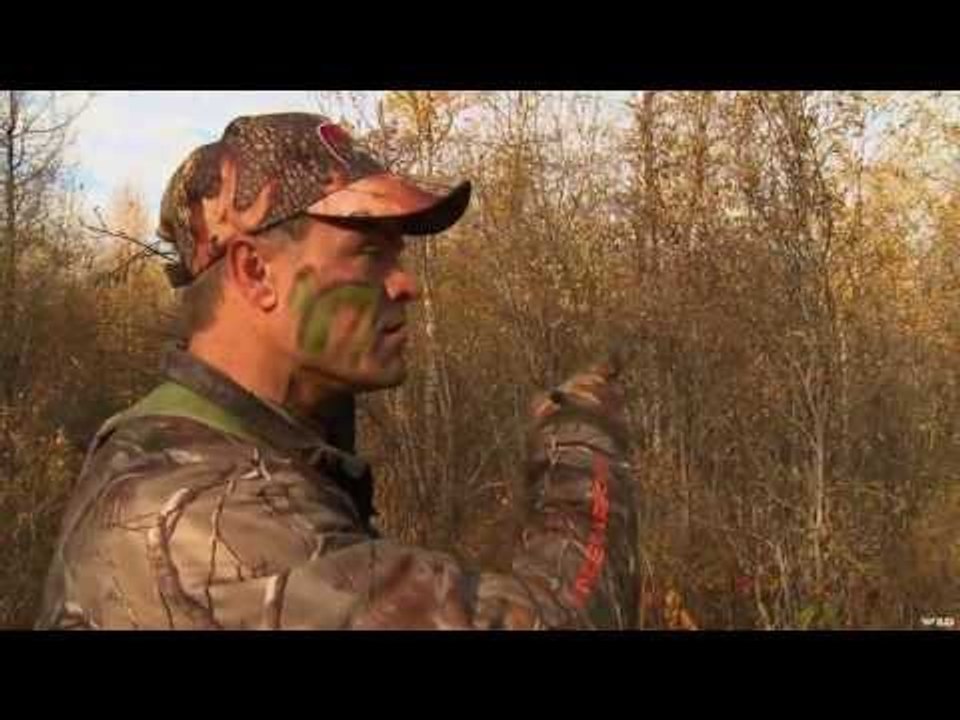 Bowhunting Moose in Alberta