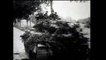 Achtung Panzer ! PANTHER und TIGER I&II - German WW2 Tanks in Action