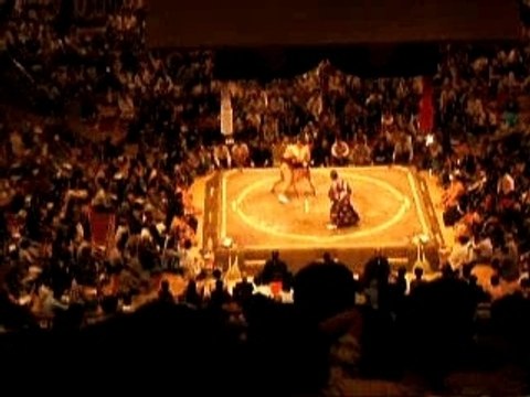 Combat de sumos au Japon