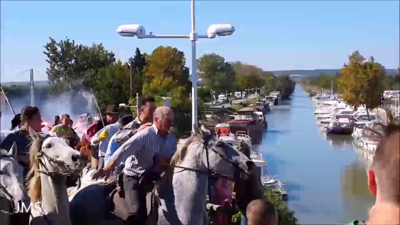 BELLEGARDE-Abrivado longue Barjac-"ou" sont les taureaux ? et Mad Max ! Oct.2015(Bellegarde 2015 abrivado barjac "or" are bulls? and Mad Max! )