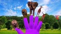 Animals Cartoons Finger Family Nursery Rhymes For Babies | Dinosaurs Tiger Children Nursery Rhymes