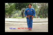 VIET VO DAO QUYEN- VOVINAM