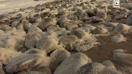 Quiberon:  Tempete de neige bretonne - Paris Bretagne Télé