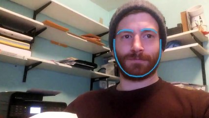 Face swap app