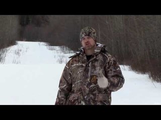 Coyote Hunting Misses