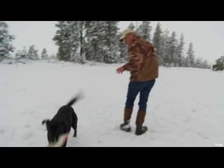 Teaching a Labrador Retriever Part 4
