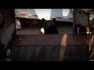 American Black Bear Traps The Crew Part 2