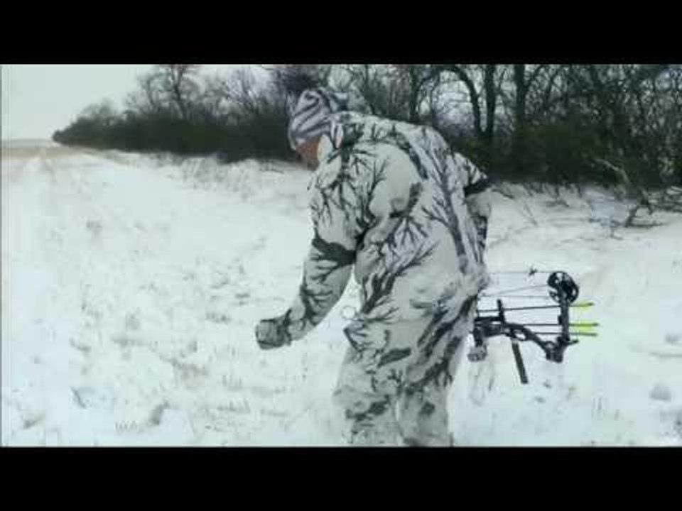 Bowhunting Mule Deer in Alberta