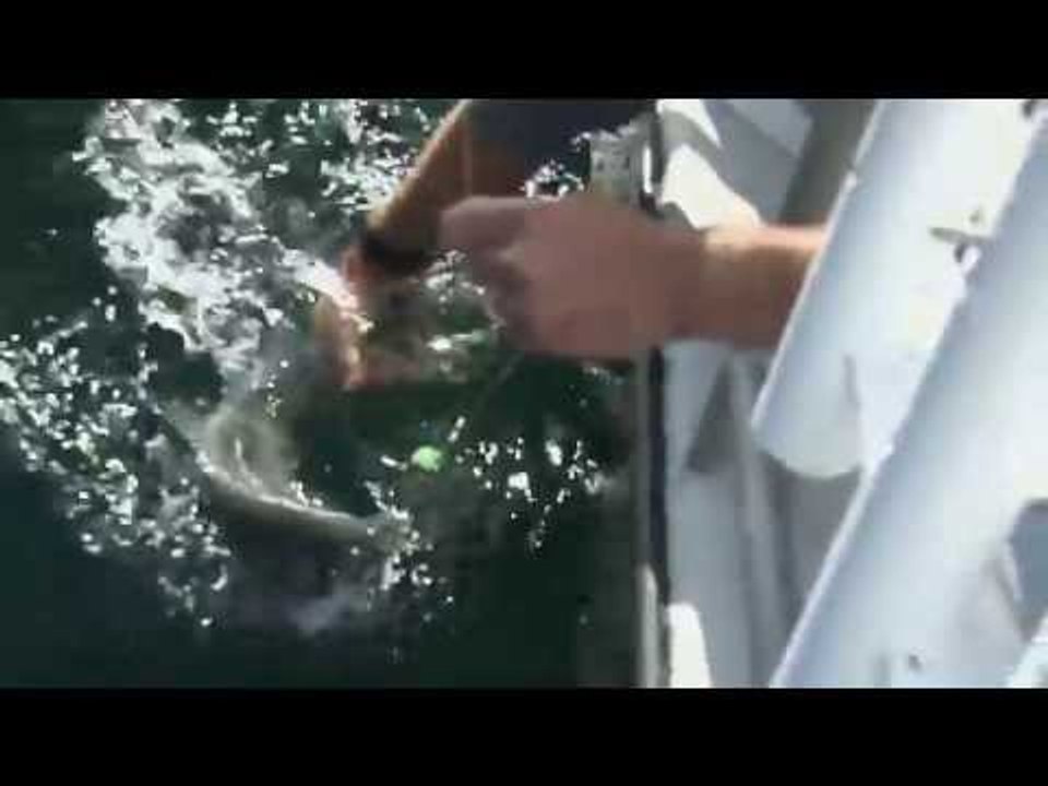 Fishing for Chinook Salmon on the BC Coast