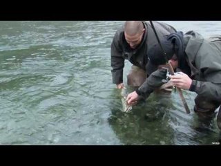 Fishing for Steelhead on Vancouver Island