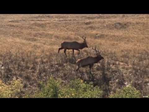 Deer Valley Ranch Part 1 - Elk Hunting