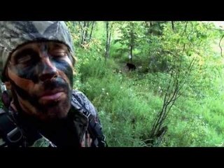 Bear Hunting Tips - Baiting Tips
