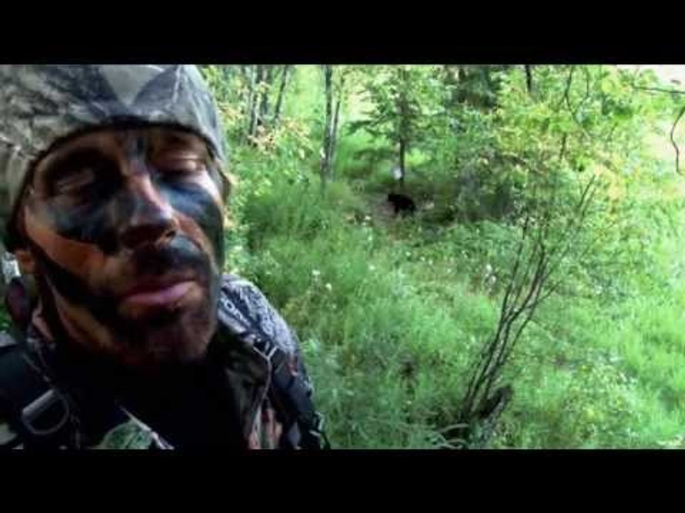 Bear Hunting Tips - Baiting Tips