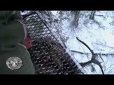 Hunting Winter Whitetail with Crossbow in Saskatchewan