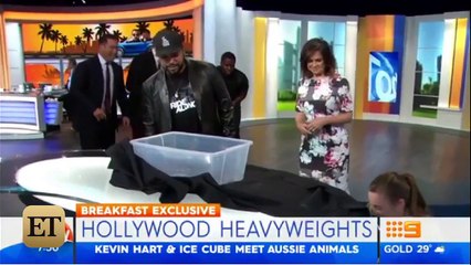 Ellen Degeneres Fear of snakes