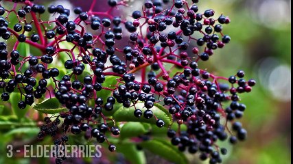 10 Everyday Foods That Can Kill You