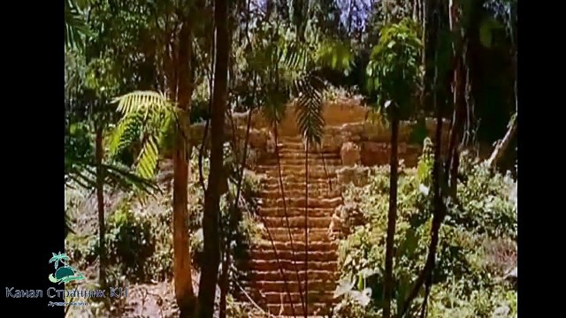80 чудес света- Мексика- Затерянный город майя- город Паленке- Часть 9