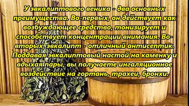 Несколько видов русских веников