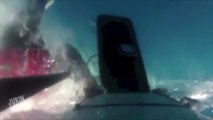 Shark Ruins Kayaking Trip | Kayak Attack