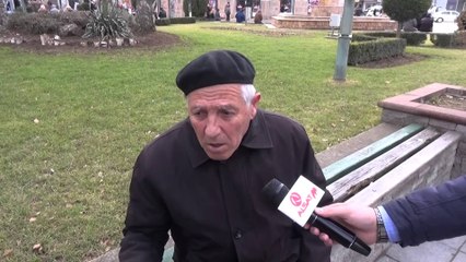 Kumanovë, qentë endacakë rrezikojnë banorët
