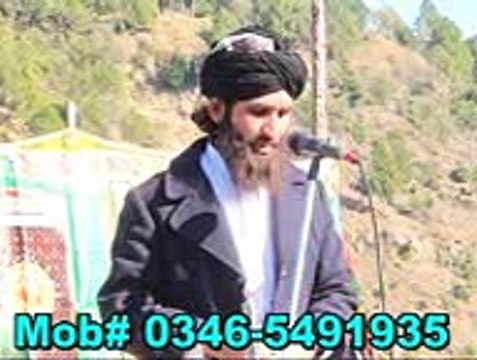 پیر سید دیوان علی شاہ رحمۃ اللہ علیہ کے دربار پر12ربیع الاول کے موقع پر سید اسد حسین شاہ حیدری ا