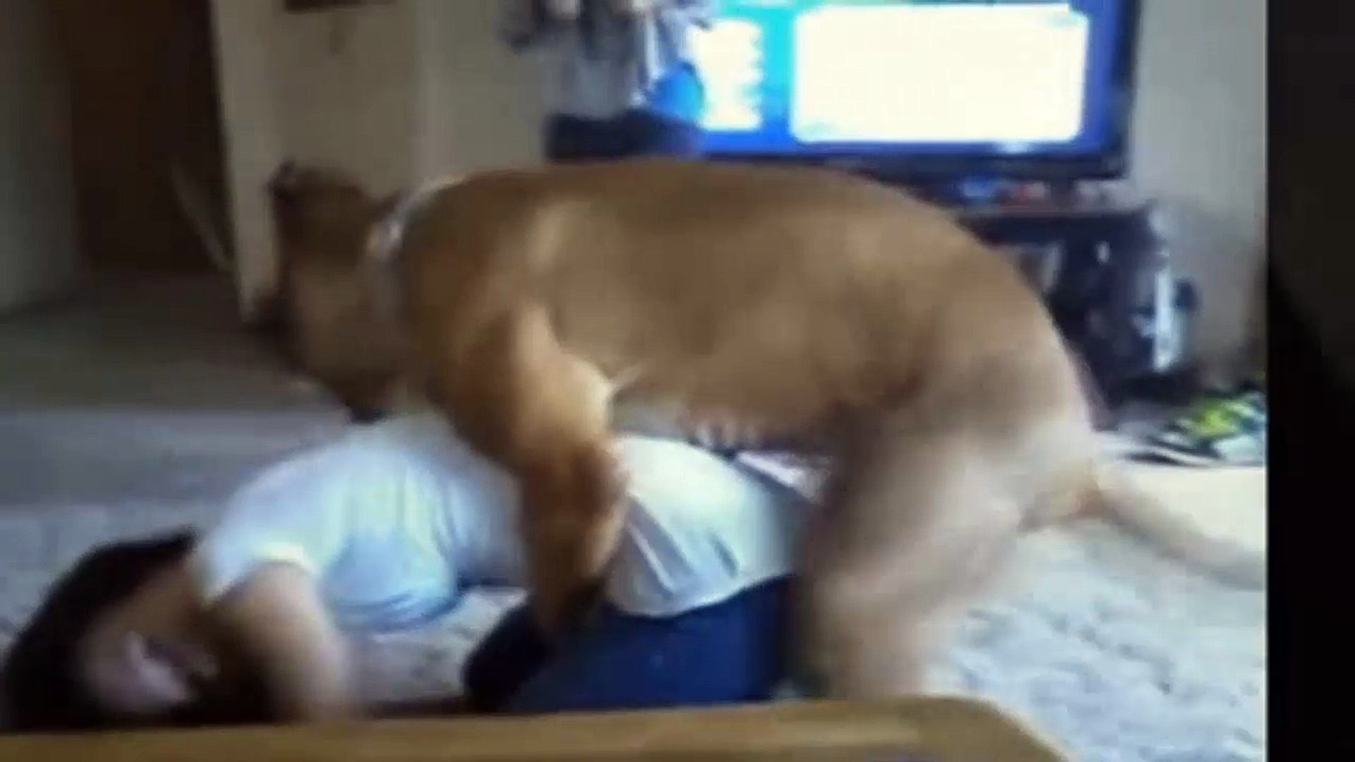 dog mating with women - Video Dailymotion