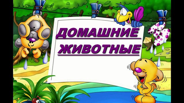 Домашние животные - Презентация для детей
