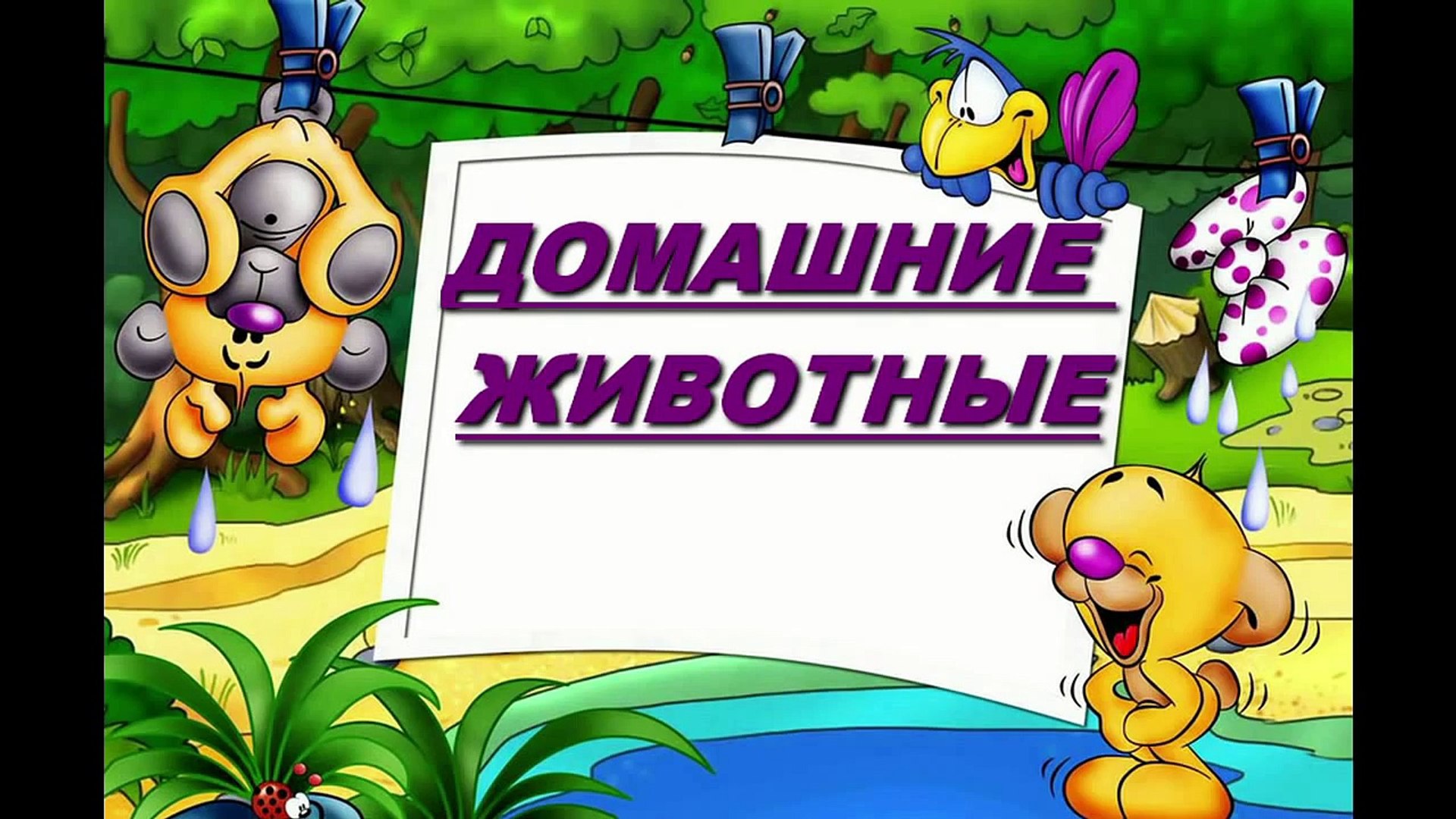 Домашние животные - Презентация для детей
