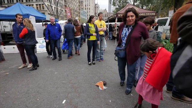 New York'u Fareler Bastı! Uzaktan Kumanda Yardımıyla Pizza Taşıyan Fare Şakası