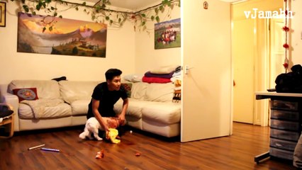 KILLING A REAL DOG PRANK (Prank Gone Wrong)