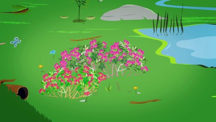 Phénologie : ça chauffe en montagne ! 4 saisons sous surveillance...