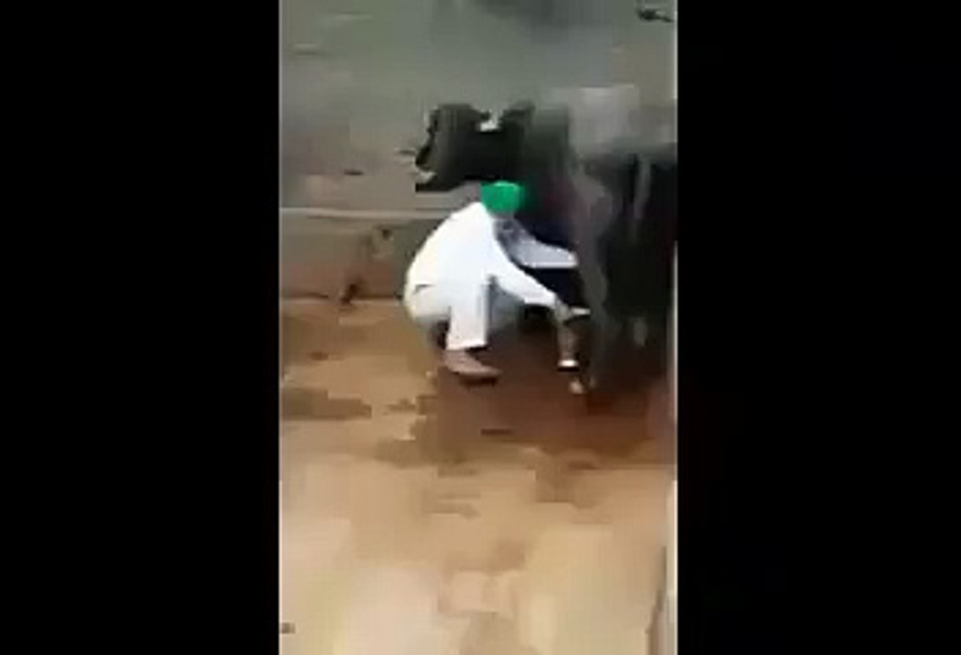 LO G A V daikh Lo