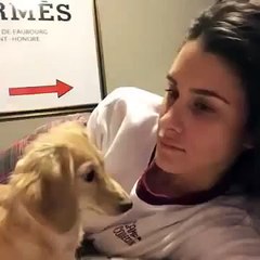 Dog Sticks His Nose In Girls Mouth ( Vine )