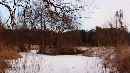 Река Унеча. 5.01.2016