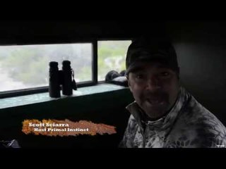 Deer Hunting With Primal Instinct