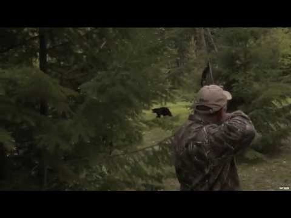 Hunting Black Bear with Bow in British Columbia