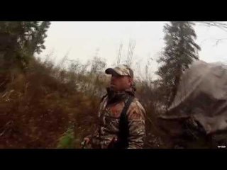 Bear Hunting Alaska - Day 8