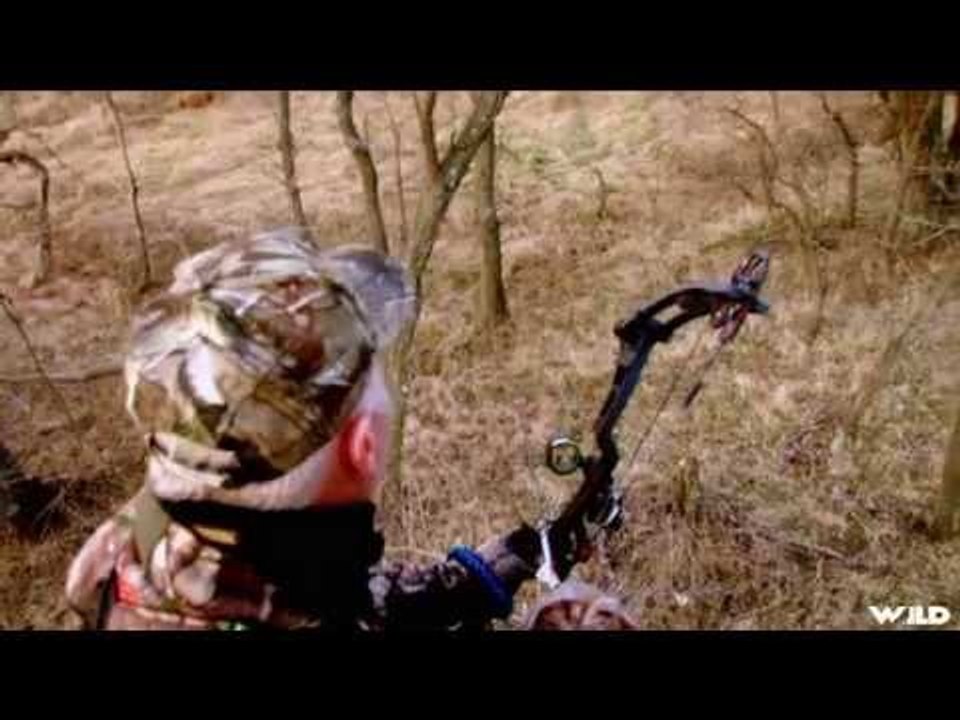 Buck Hunting In The Autumn