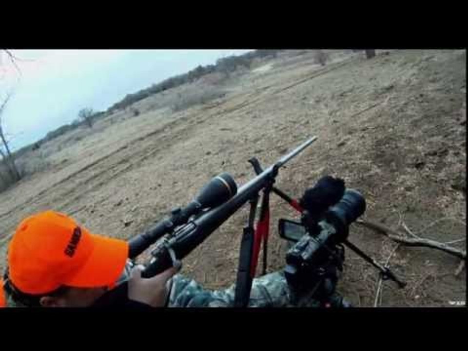 White-tails From Velvet To Hard Horn