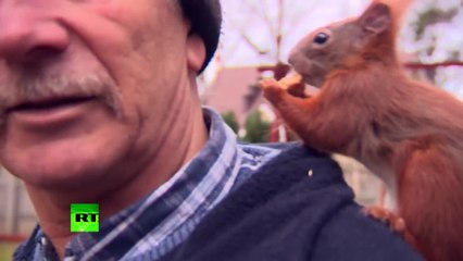 Pet squirrel is inseparable from its human best friend in Russia