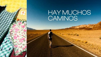 CENTRE CULTURAL CASTÀLIA   Castellón de la Plana[1]