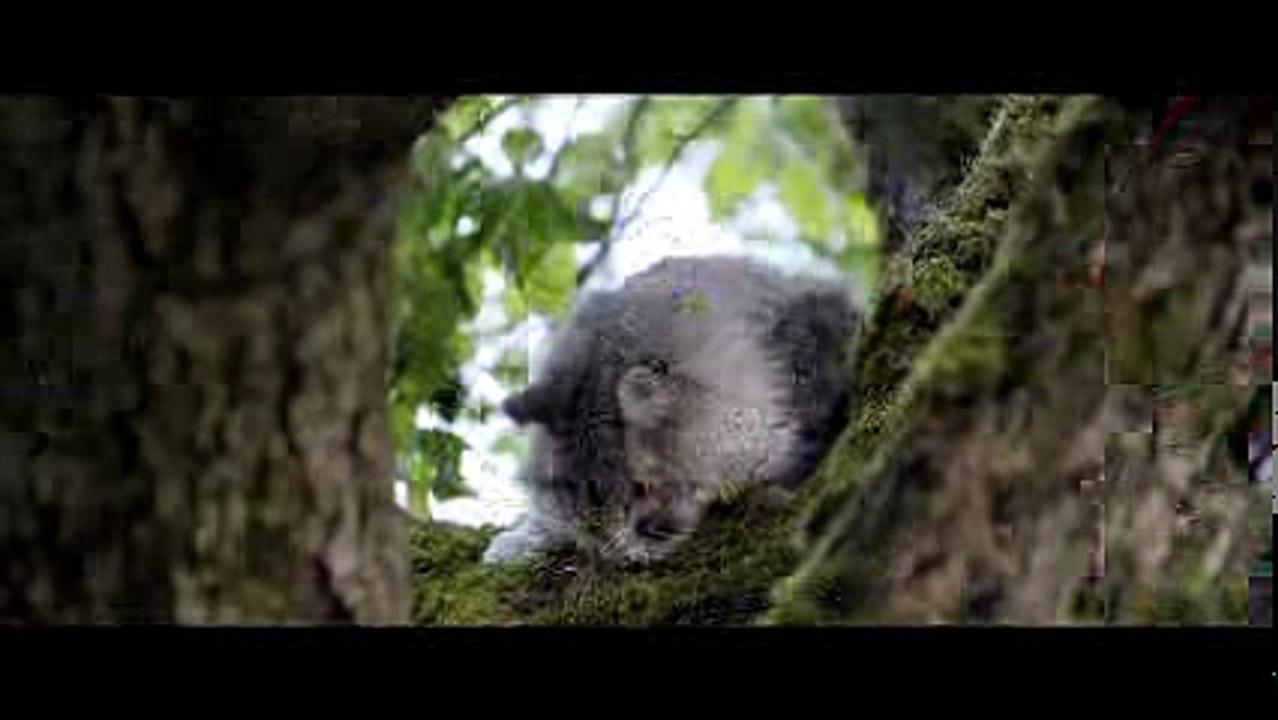 DEADPOOL Promo Clip - Saving the Cat (2016) Ryan Reynolds Marvel Movie
