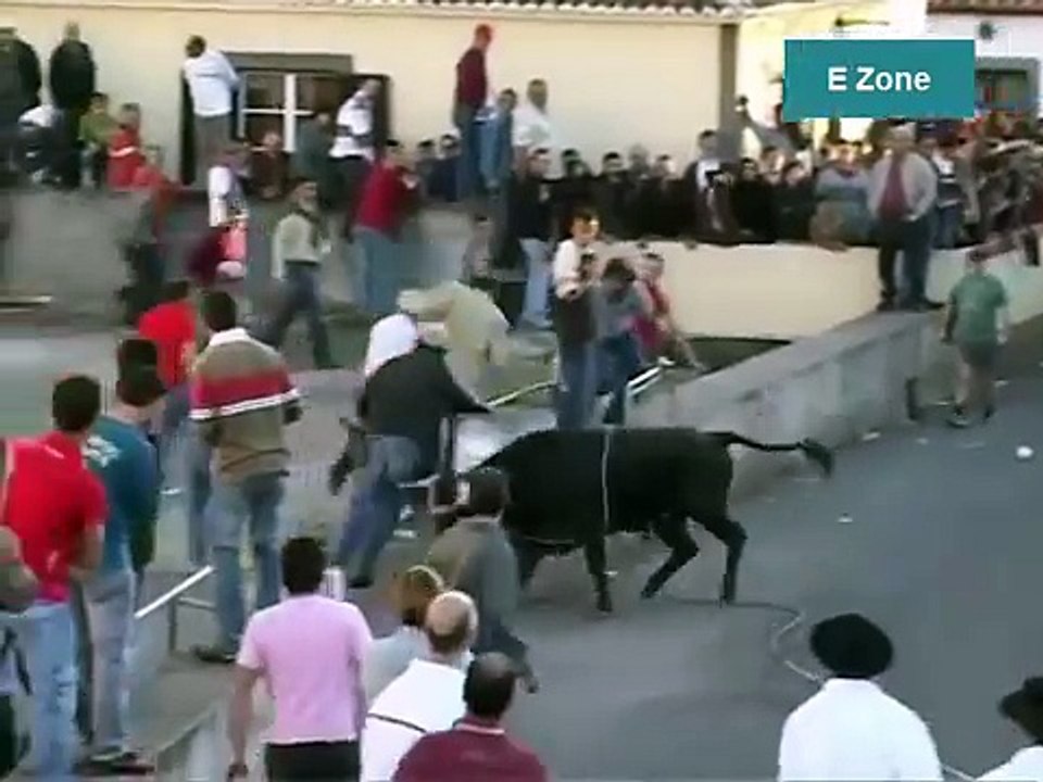 Bull Fighting Funny Videos